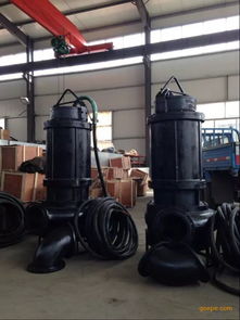 沙廠沉淀池渣漿泵 污泥泵 泥漿泵圖片 高清大圖 谷瀑環保