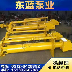 型雙吸泵,zjl液下渣漿泵,臥式渣漿泵 安國市東藍水泵廠