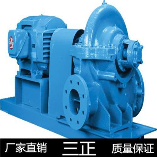 電廠專(zhuān)用S型雙吸泵與臥式全貫流泵的卓越解決方案——三正公司工廠排污應(yīng)用
